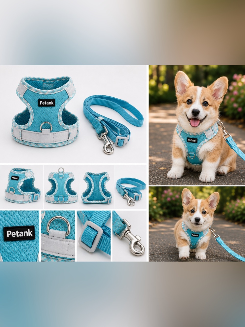 Brand New Petank Soft Mesh Puppy harness and leash set - small breed dogs